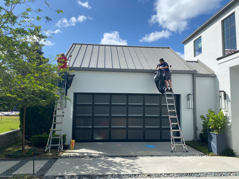 Rodent Removal from Roof